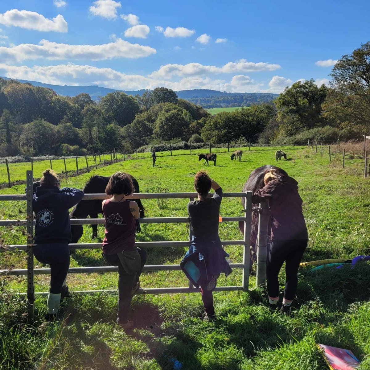 Formation Equi'LIMA pour les professionnelles de la filière équine Formation professionnelle d'éducatrice et conseillière en éthologie appliquée à la relation humaine animale en approche LIMA, mention équin et asin