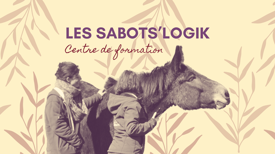 Formation Equi'LIMA pour les professionnelles de la filière équine Formation professionnelle d'éducatrice et conseillière en éthologie appliquée à la relation humaine animale en approche LIMA, mention équin et asin