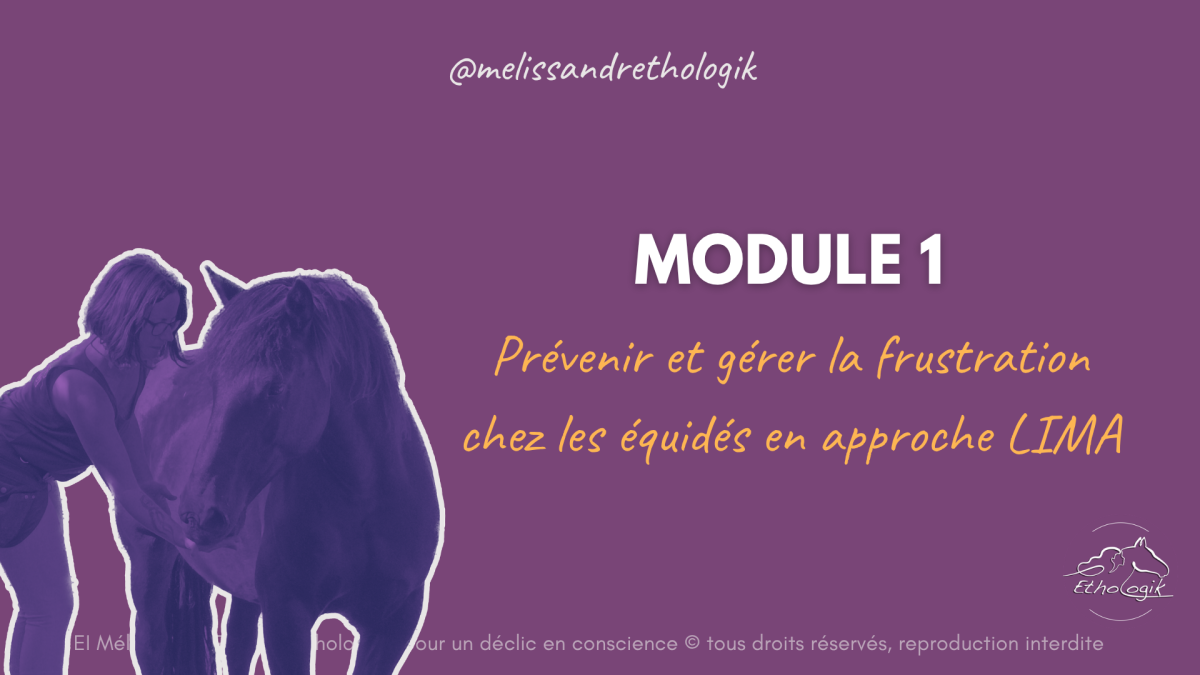 Mélissandre d'Ethologik, ta comportementaliste équin en approche LIMA, enseignante d'équitation positive, gérante et formatrice chez Les Sabots'Logik